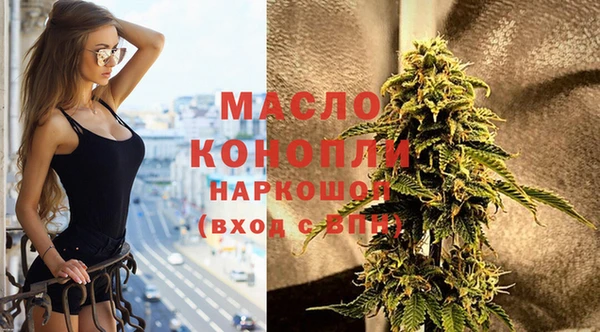 индика Балахна