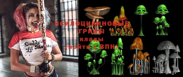 индика Балахна