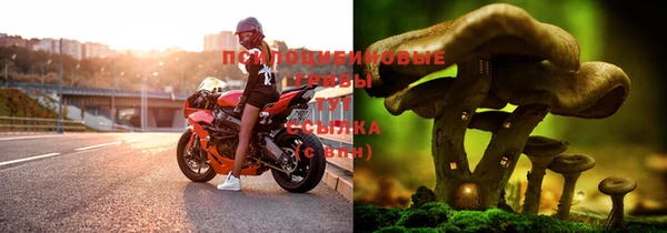 apvp Балабаново
