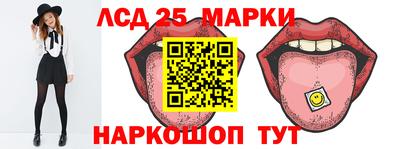 Альфа ПВП Дубна