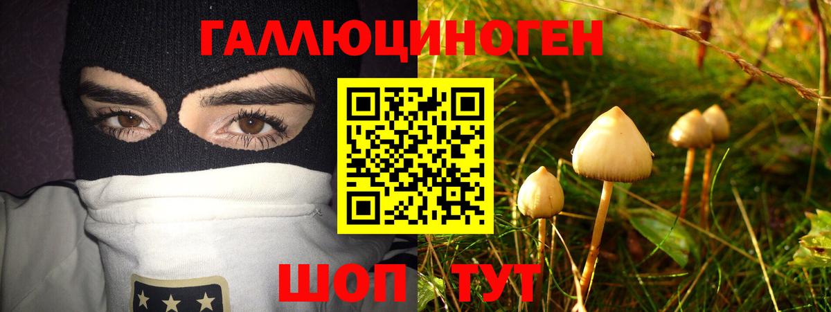 Галлюциногенные грибы ЛСД  Галлюциногенные грибы GOLDEN TEACHER  Ногинск  Вход с VPN 